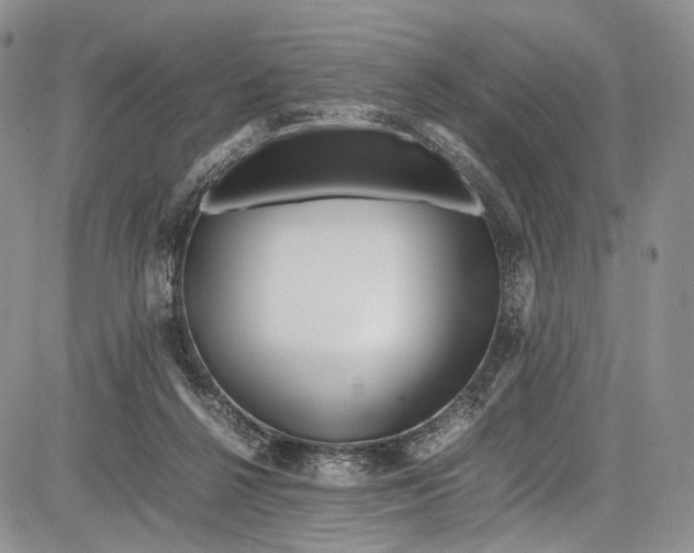 X0000081610264200702051401