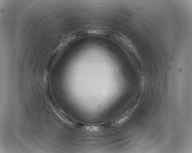 X0000081610265200702051401