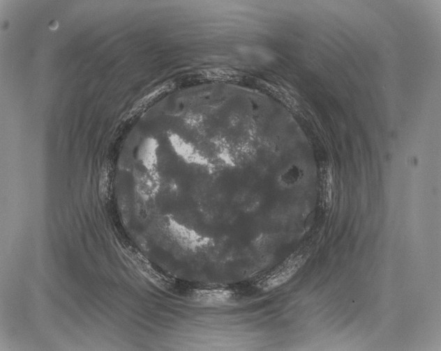 X0000081610266200702051401