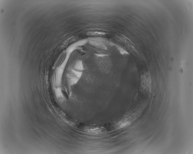 X0000081610267200702051402