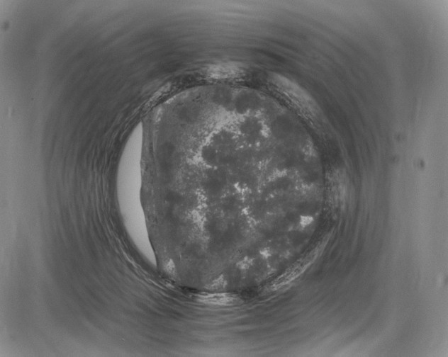 X0000081610269200702051402