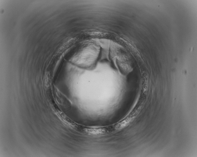 X0000081610273200702051402