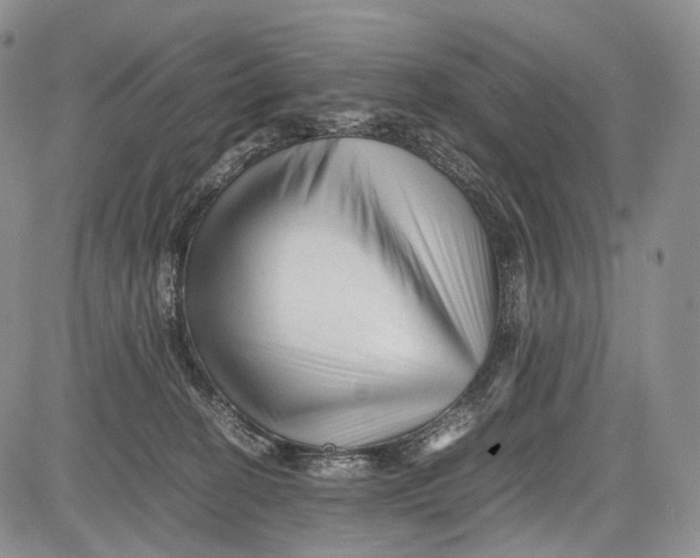 X0000081610274200702051402