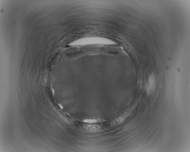 X0000081610277200702051402