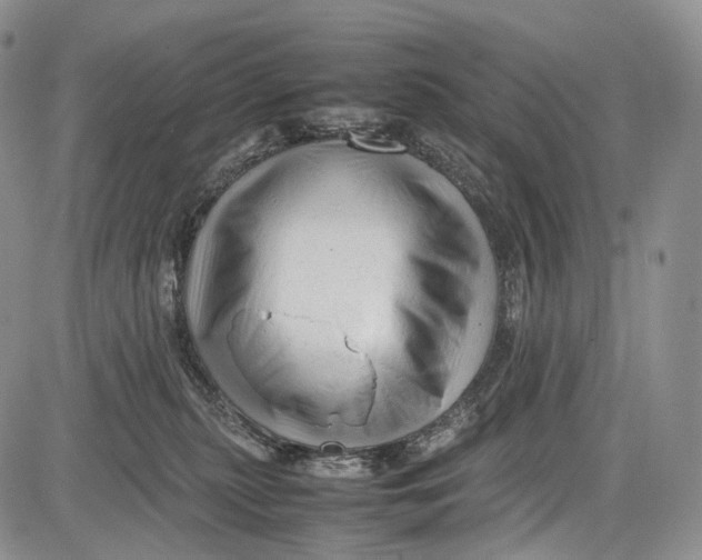 X0000081610279200702051402