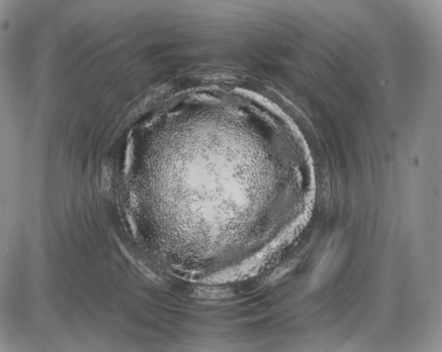 X0000081610281200702051402