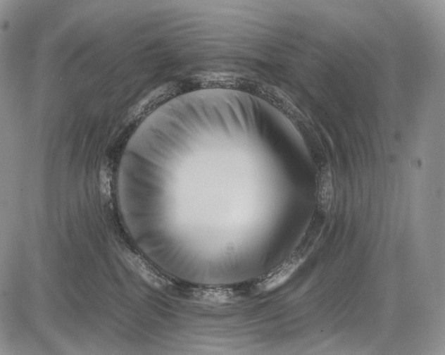 X0000081610282200702051402