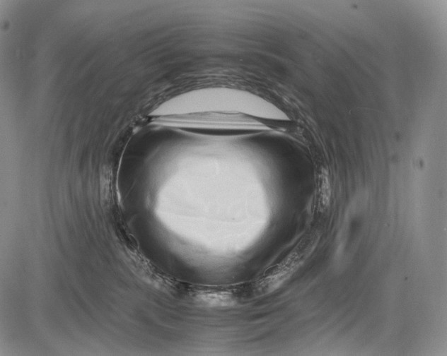 X0000081610283200702051402