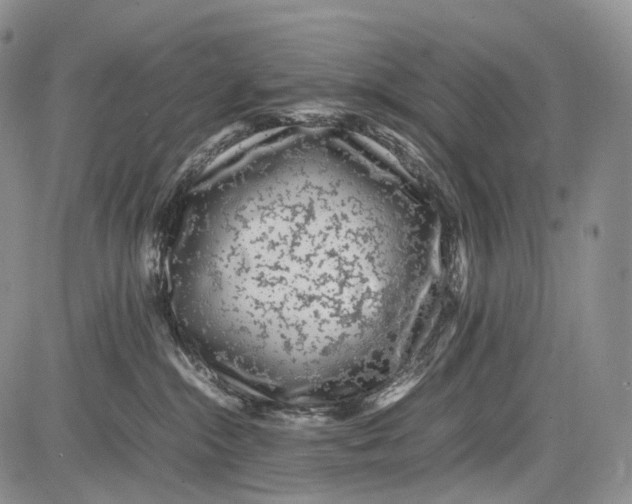 X0000081610284200702051402