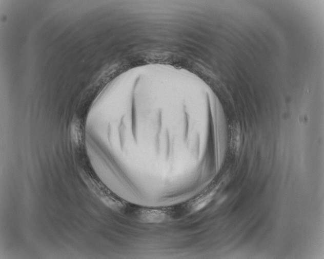 X0000081610287200702051402