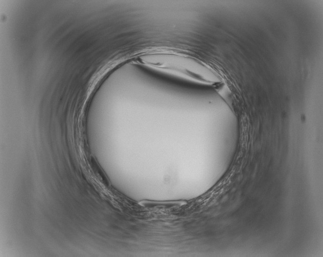 X0000081610289200702051401