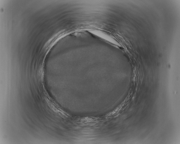 X0000081610290200702051401