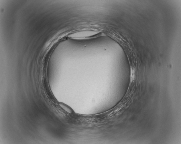 X0000081610291200702051401