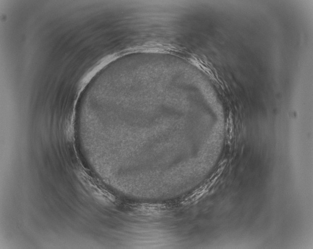 X0000081610292200702051401