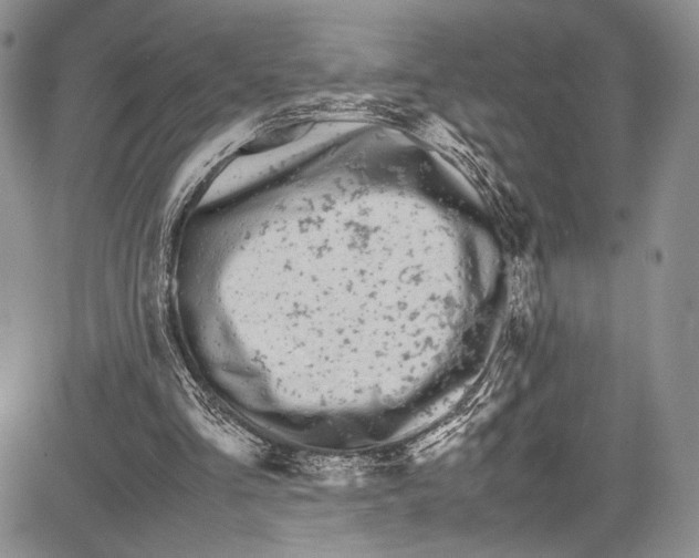 X0000081610293200702051401