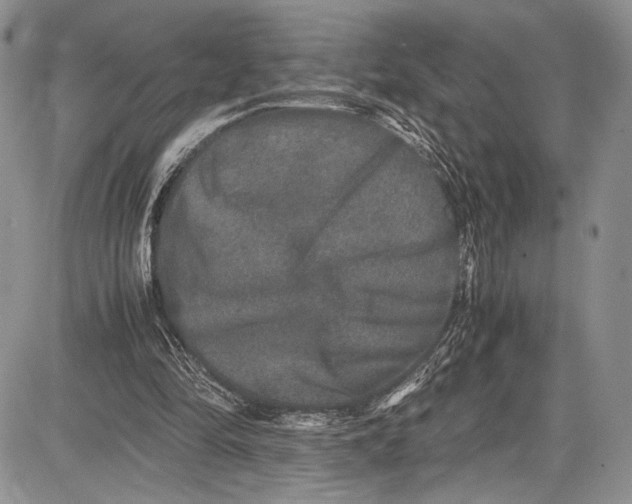 X0000081610294200702051401