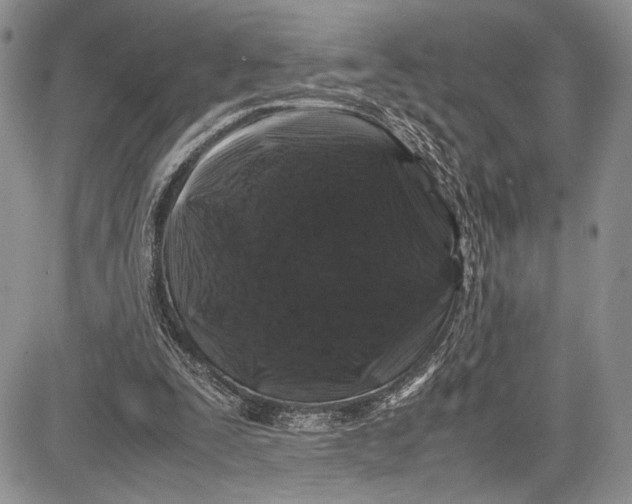 X0000081610295200702051401