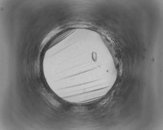 X0000081610296200702051401