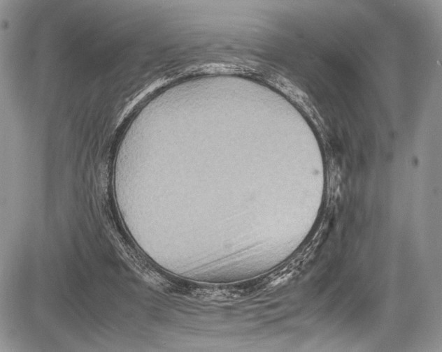 X0000081610297200702051401