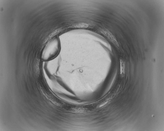 X0000081610300200702051401