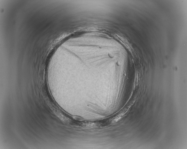 X0000081610301200702051401