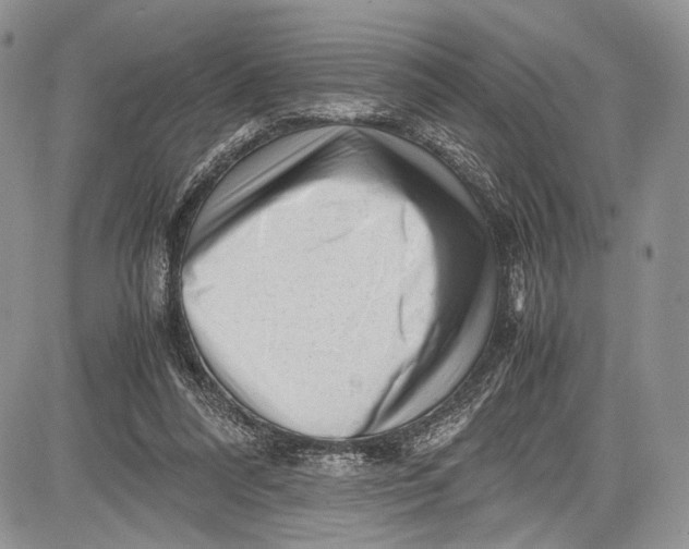 X0000081610304200702051401