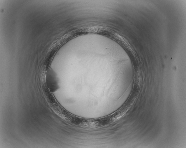 X0000081610307200702051401