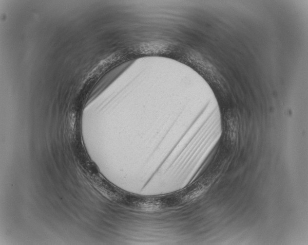 X0000081610308200702051401