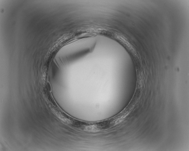 X0000081610309200702051401