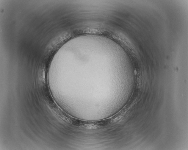 X0000081610310200702051401