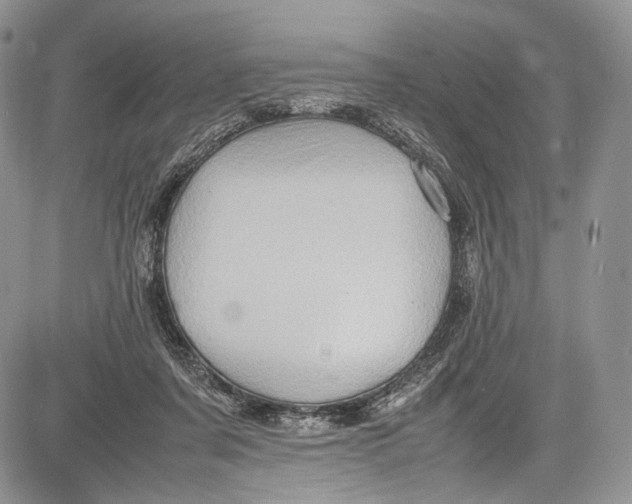 X0000081610311200702051401