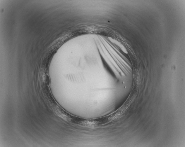 X0000081610313200702051401