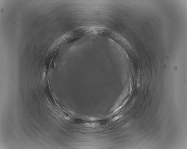 X0000081610314200702051401