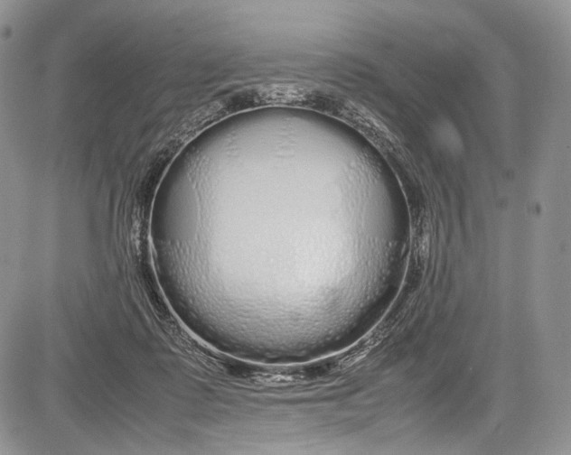 X0000081610315200702051401