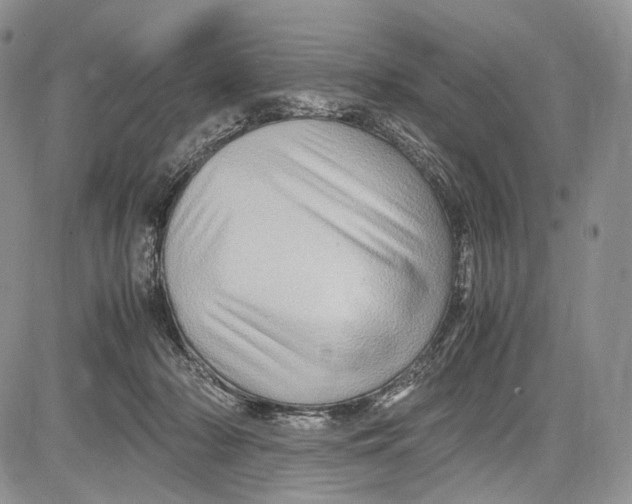 X0000081610318200702051401