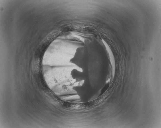 X0000081610319200702051401