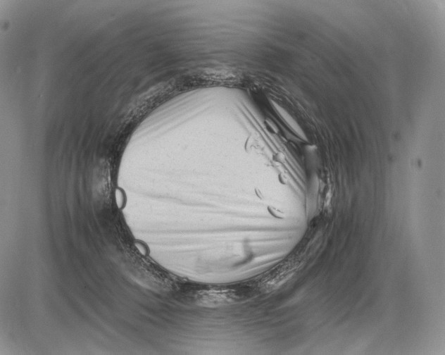 X0000081610320200702051401