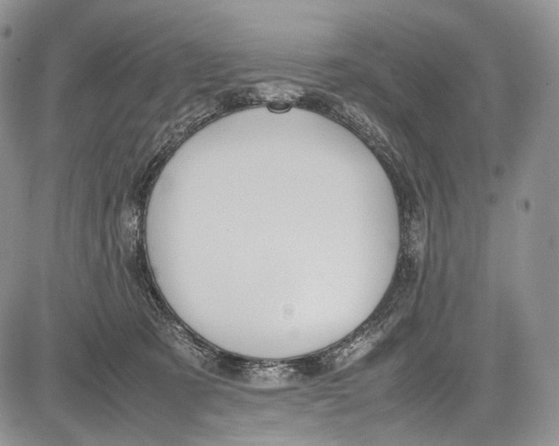 X0000081610321200702051401