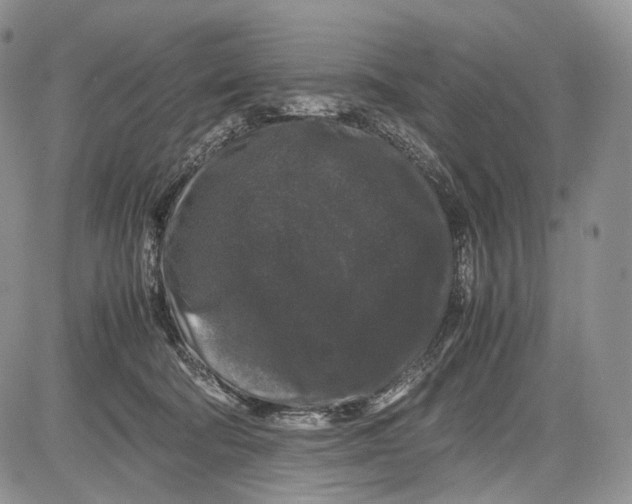 X0000081610322200702051401