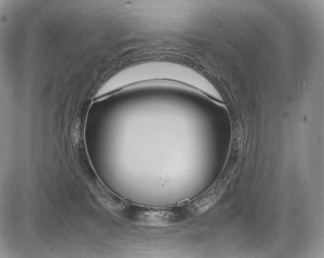 X0000081610323200702051401