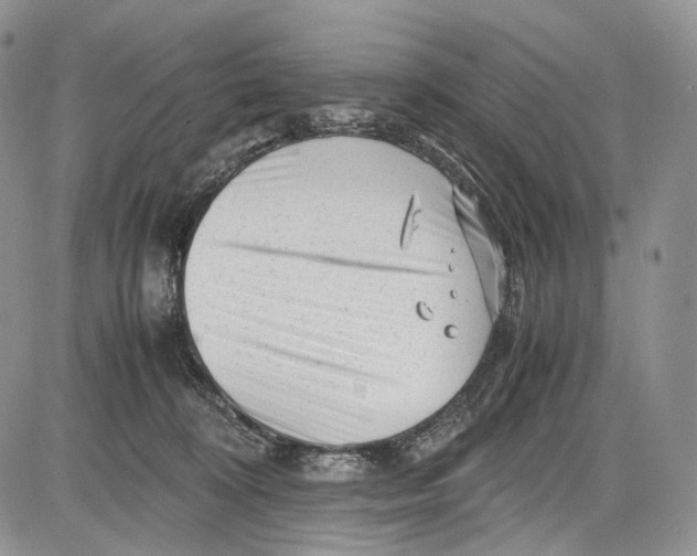 X0000081610324200702051401