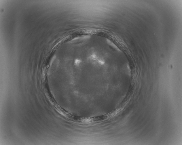 X0000081610325200702051400