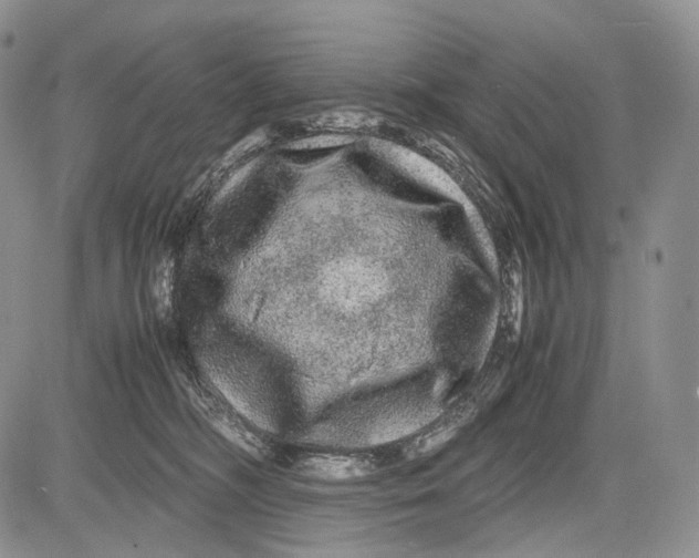 X0000081610326200702051400