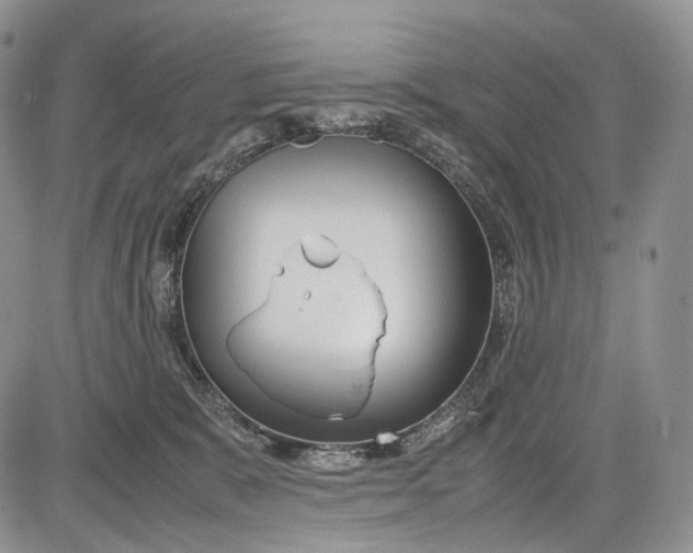 X0000081610327200702051400