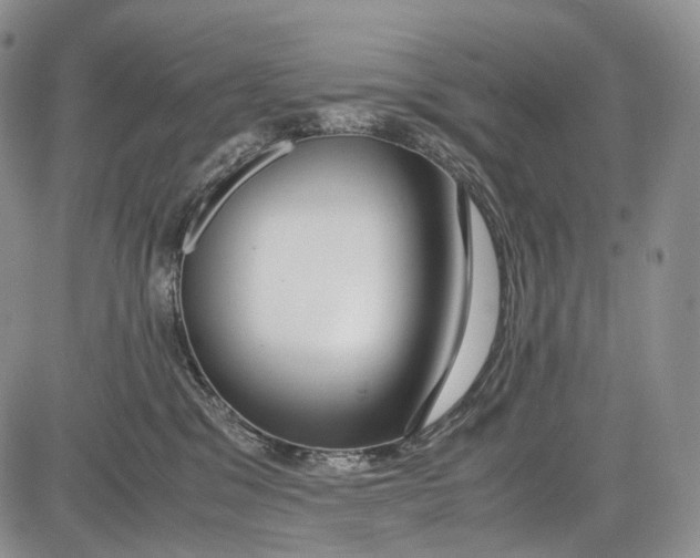 X0000081610329200702051400