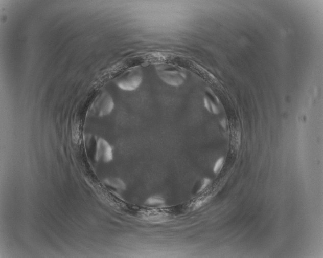 X0000081610331200702051400