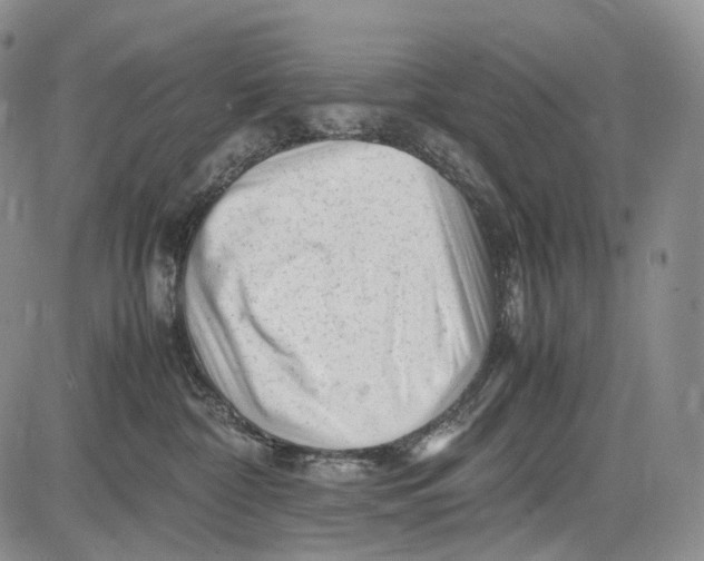 X0000081610332200702051400