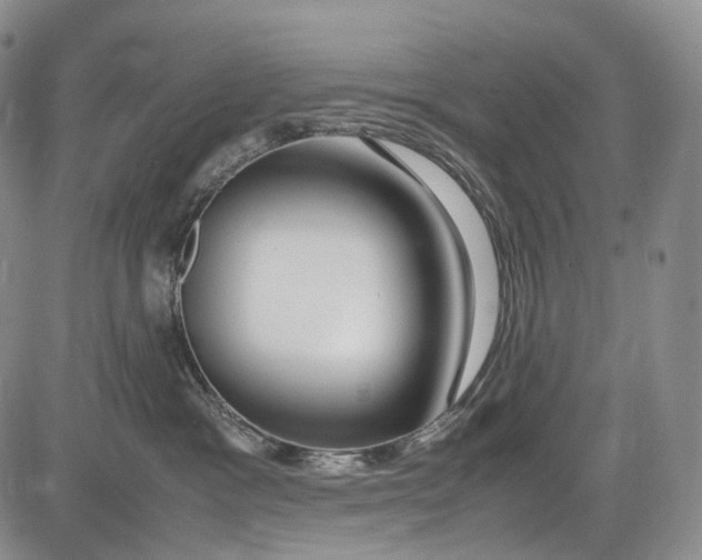 X0000081610333200702051400