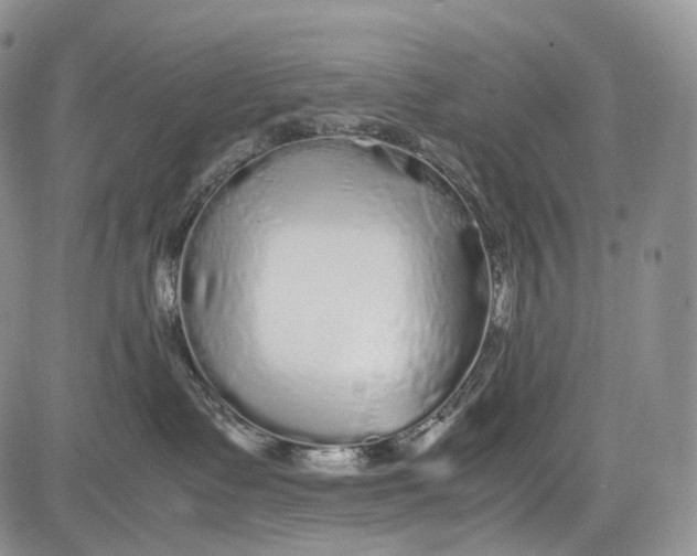 X0000081610335200702051400