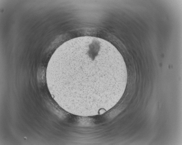 X0000081610336200702051400